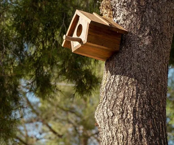 Eco Aire De Monte * Náquera